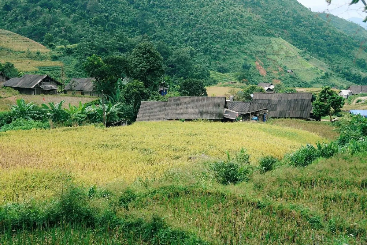 Ngẩn ngơ trước vẻ đẹp nên thơ chốn Simacai Bắc Hà qua lời kể của cô bạn Mavis Vi Vu Ký