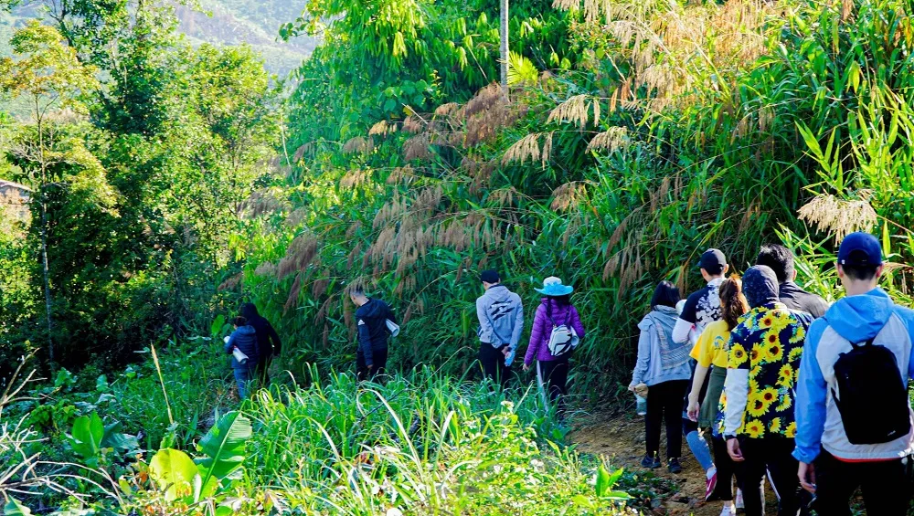 Ngất ngây tại Up Base Camp với khung cảnh núi rừng thơ mộng