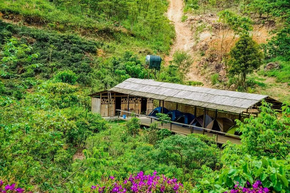 Ngất ngây tại Up Base Camp với khung cảnh núi rừng thơ mộng