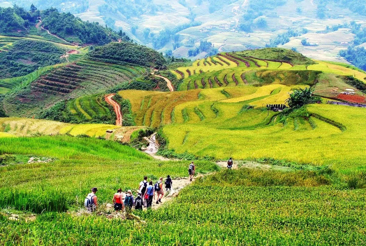 Ngất ngây trước vẻ đẹp mãn nhãn của bản Sín Chải Sapa