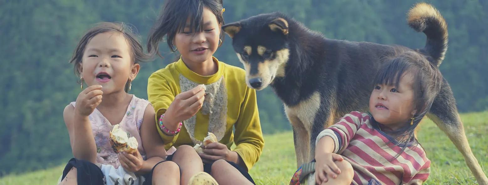 Ngất ngây trước vẻ đẹp mãn nhãn của bản Sín Chải Sapa