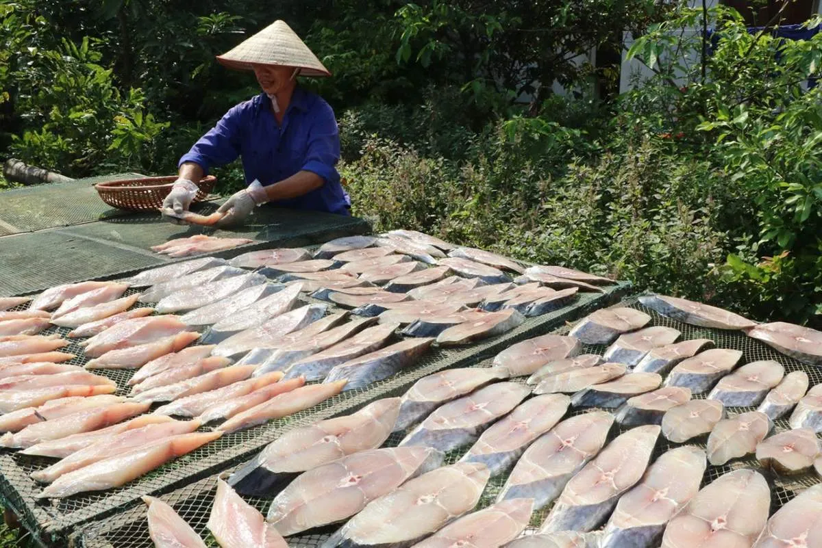 Ngây ngất với đặc sản Cá thu một nắng Côn Đảo