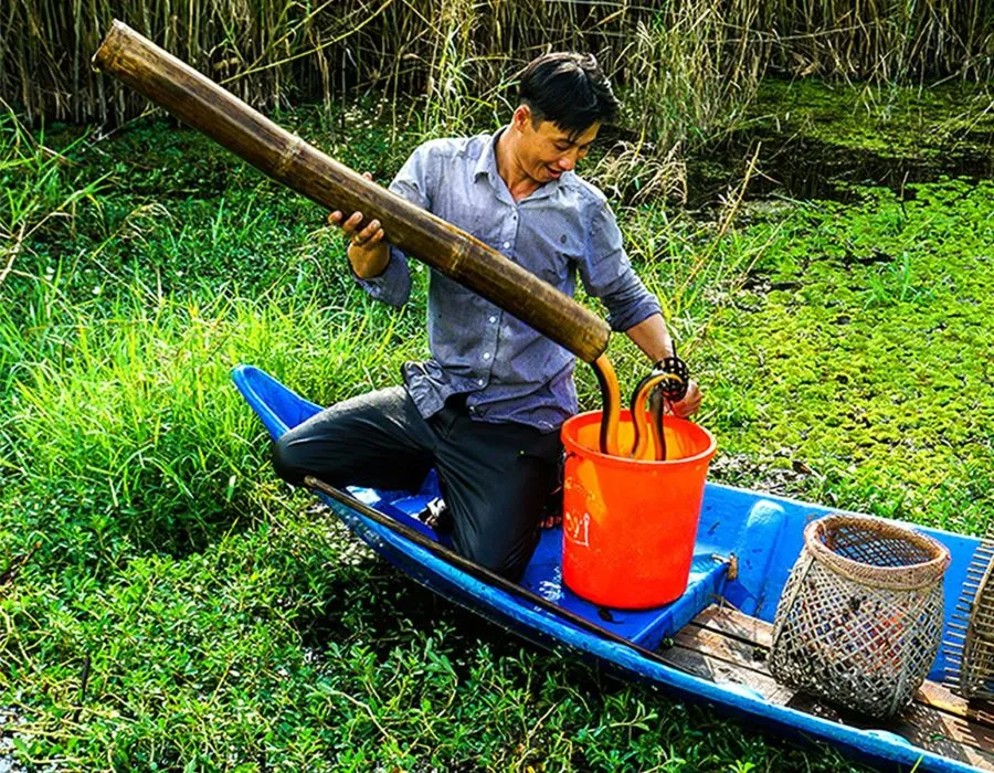 Nghề đặt trúm ở Cà Mau, nét đặc sắc văn hóa miền sông nước