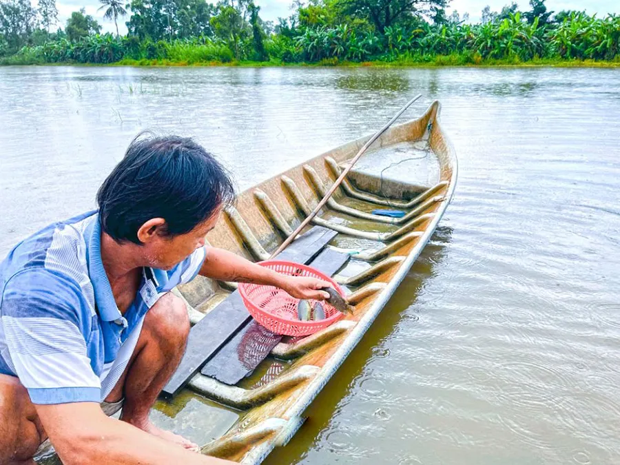 Nghề giăng lưới ở Cà Mau và nét đẹp bình dị của người dân sông nước