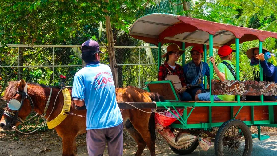 Ngồi xe ngựa khám phá Bến Tre, sao lại không tín đồ du lịch ơi