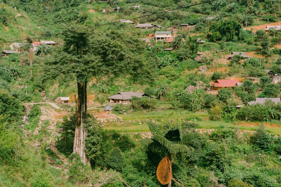 Những ngày ở Xín Mần Hà Giang khám phá cao nguyên đá quá đỗi bình dị