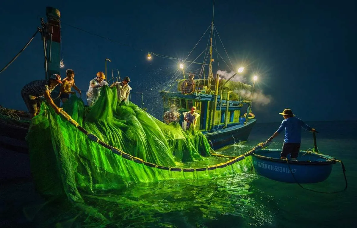 Những thước phim ngây ngất lòng người của mùa cá cơm Phú Yên