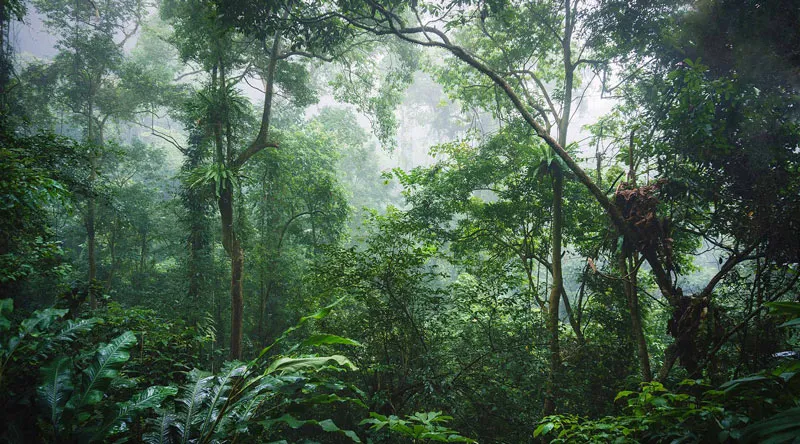 Ninh Bình có gì chơi, cùng theo chân MIA.vn khám phá Cố Đô thanh bình