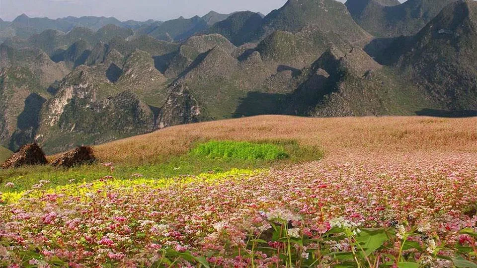 Núi Cấm Sơn Hà Giang – Chinh phục bức tranh hùng vĩ giữa lòng thành phố