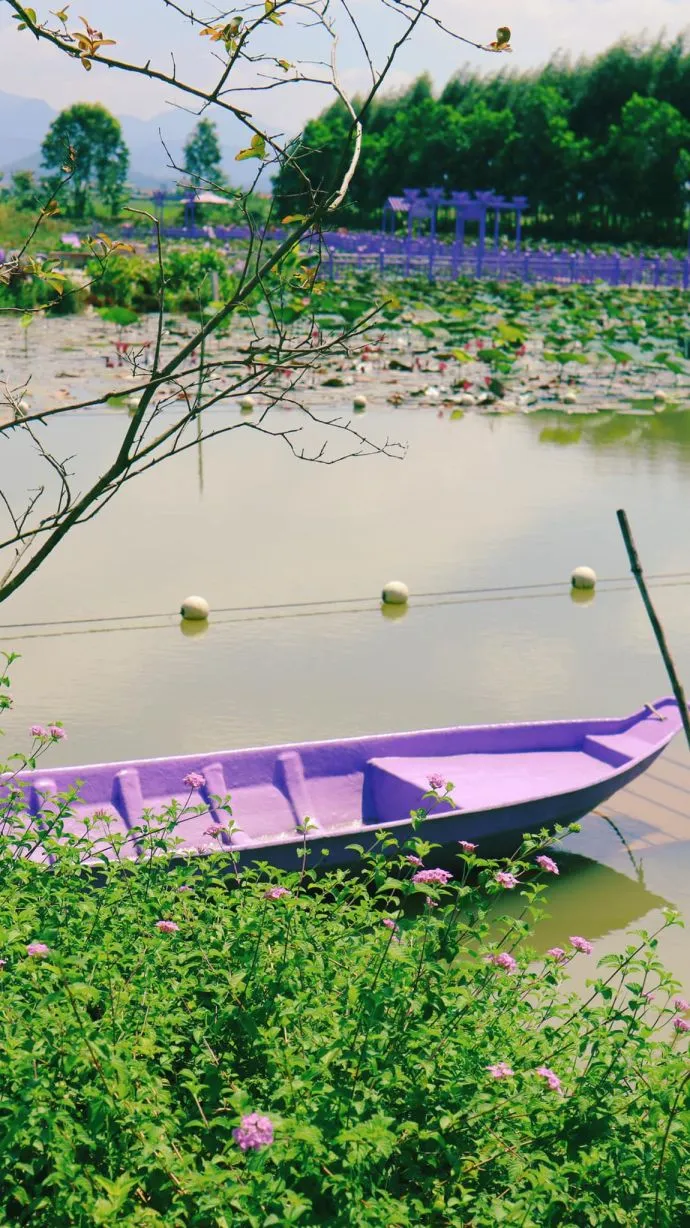 Phá đảo thiên đường vui chơi Quảng Ninh Gate từ A-Z