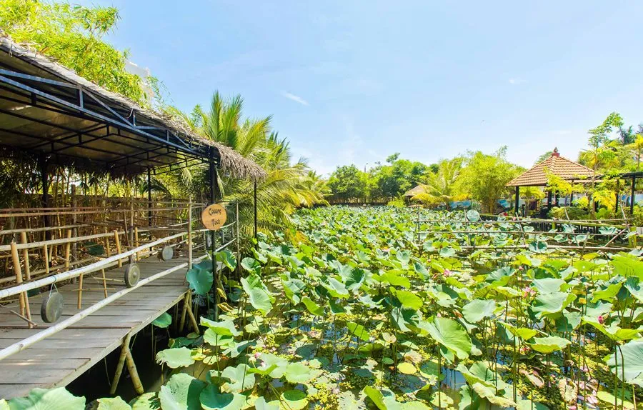 Phú Thịnh Boutique Resort & Spa – Resort 4 sao mang nét đẹp cổ xưa giữa lòng Hội An trầm mặc