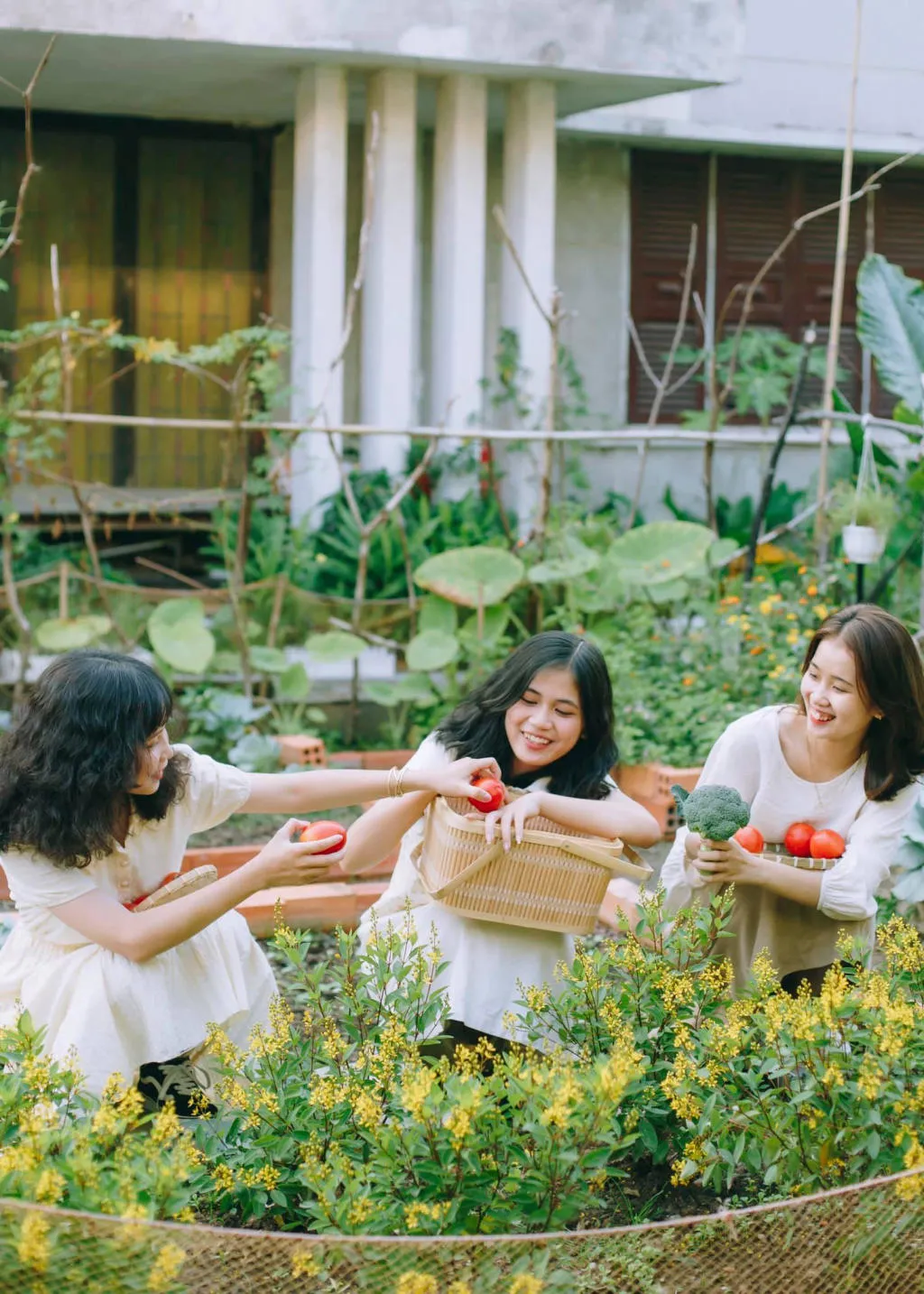 Quán cà phê Khu Vườn Bình Yên, nét mộc mạc sâu trong con hẻm nhỏ