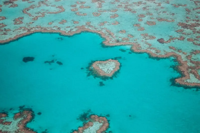 Rạn san hô Great Barrier, tạo tác ngoài khơi xa Queensland