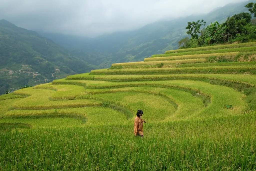 Review Bản Phùng – Bức tranh thiên nhiên và con người La Chí