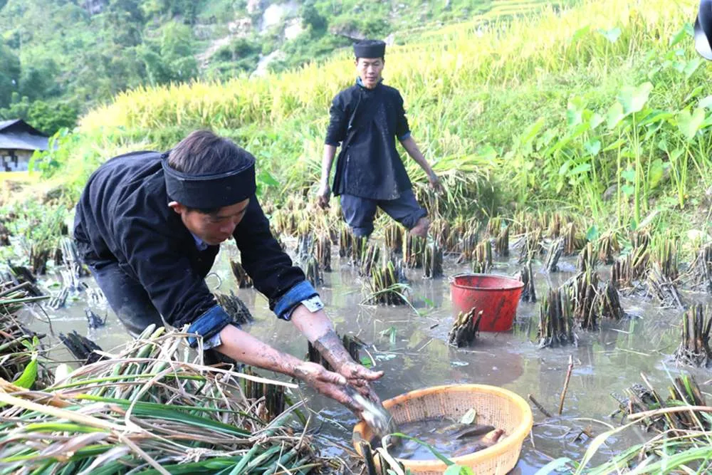 Review Bản Phùng – Bức tranh thiên nhiên và con người La Chí