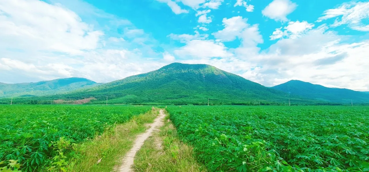 Review cảnh đẹp trên đường đến hồ thuỷ điện Đá Đen Phú Yên