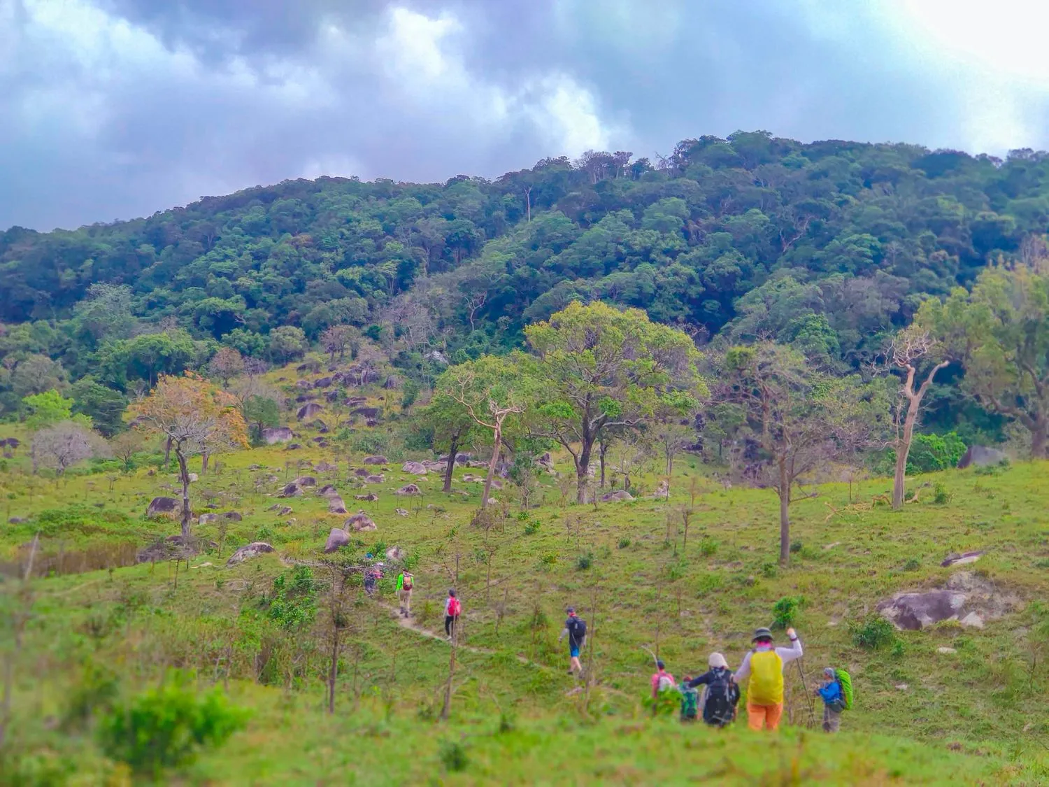 Review chuyến trekking Núi Chúa Ninh Thuận đã trải nghiệm một lần là chỉ có mê