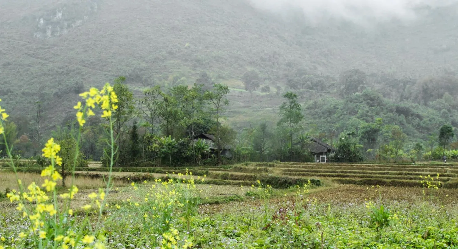 Review Hà Giang 3N3Đ cho hội những người thích là nhích