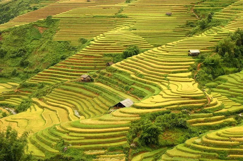 Review Hà Giang – Theo chân cặp đôi phát cẩu lương ầm ầm ở cao nguyên đá