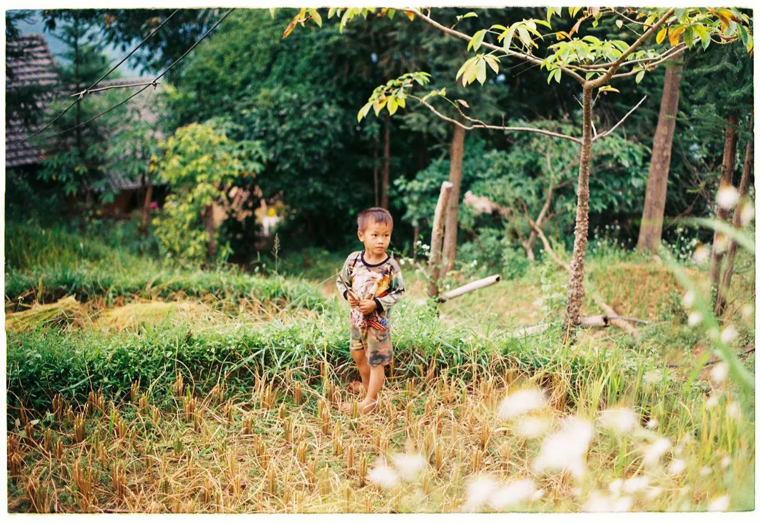 Review một Hà Giang thật bình yên và thơ mộng