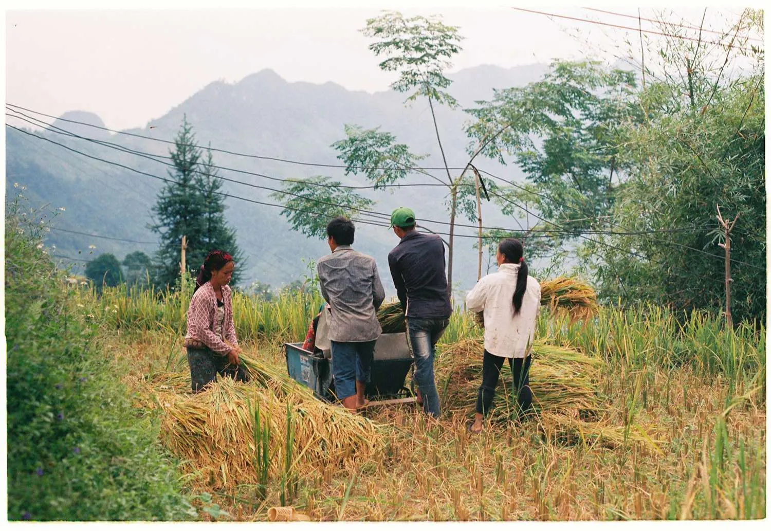 Review một Hà Giang thật bình yên và thơ mộng