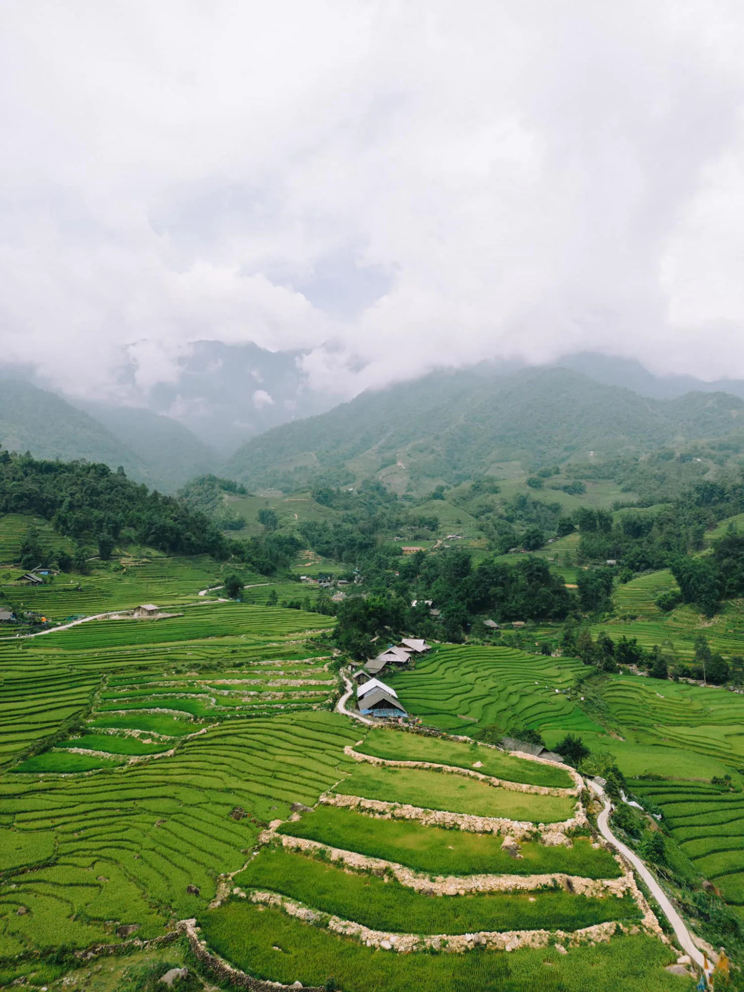 Review Tả Van mùa lúa chín đẹp đắm say lòng người