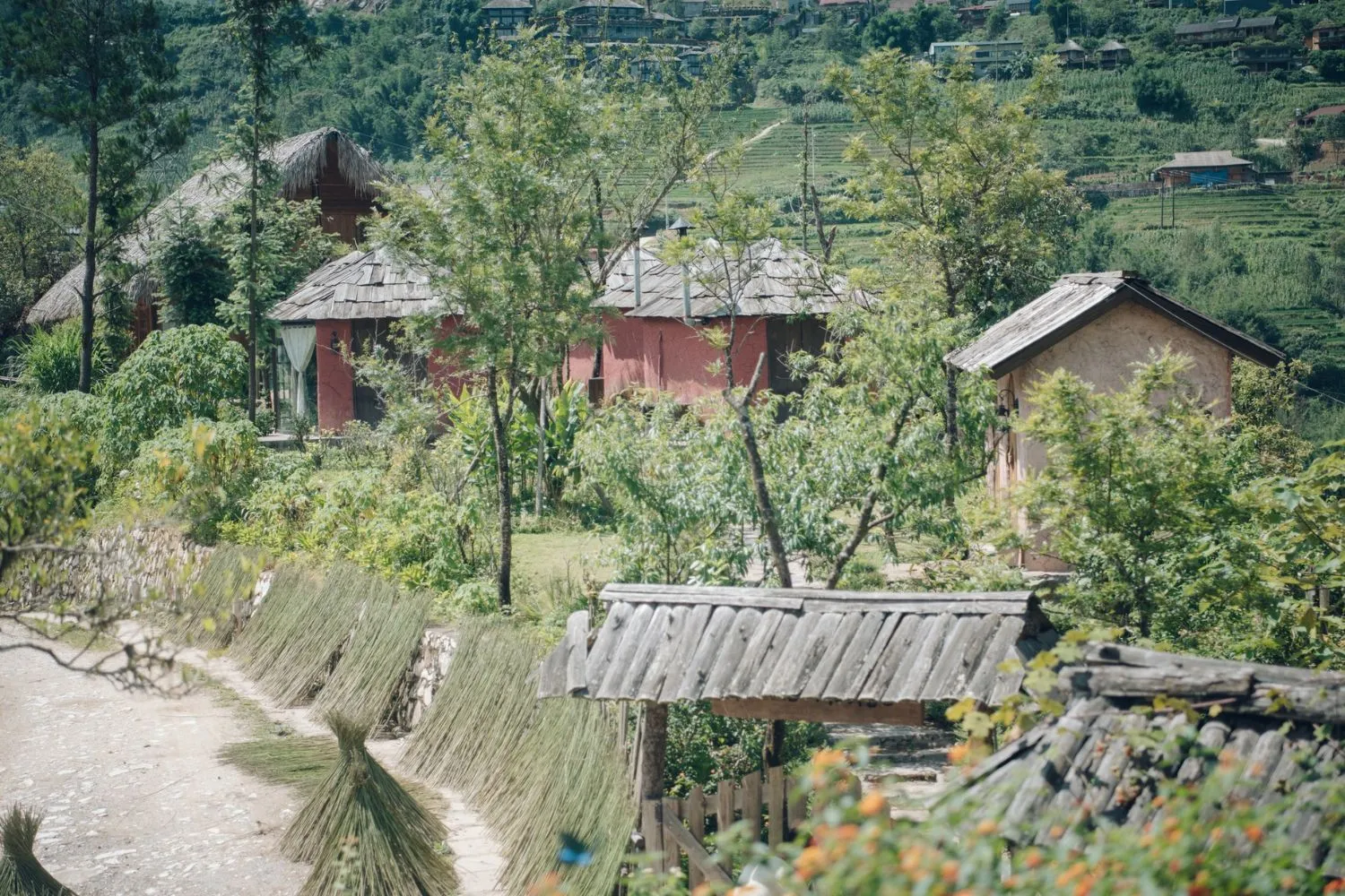 Rùa House Hill top là một căn nhà nhỏ xinh xắn tránh xa nơi phố thị