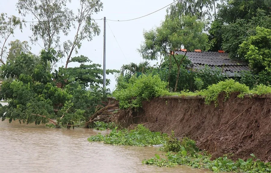 Rừng phòng hộ biển Tây và lá chắn thiên nhiên vững chắc của Cà Mau