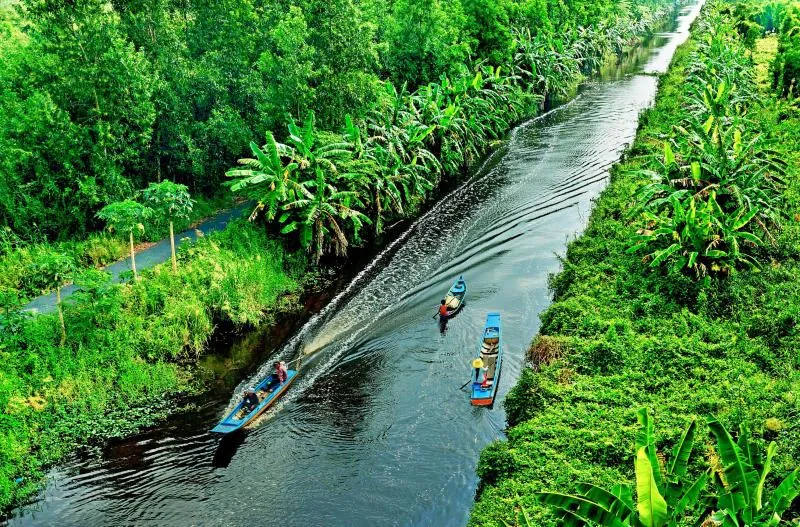 Rừng quốc gia U Minh Thượng và những điều chưa ai kể với bạn