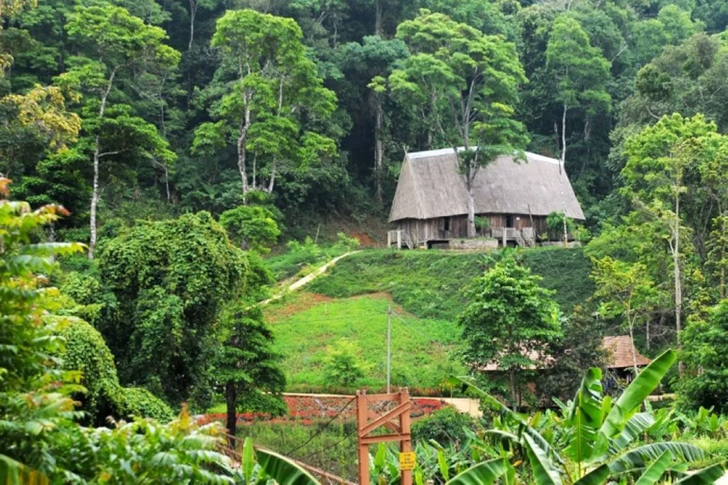 Rừng thông Măng Đen, hình ảnh Đà Lạt thu nhỏ trong lòng Kon Tum