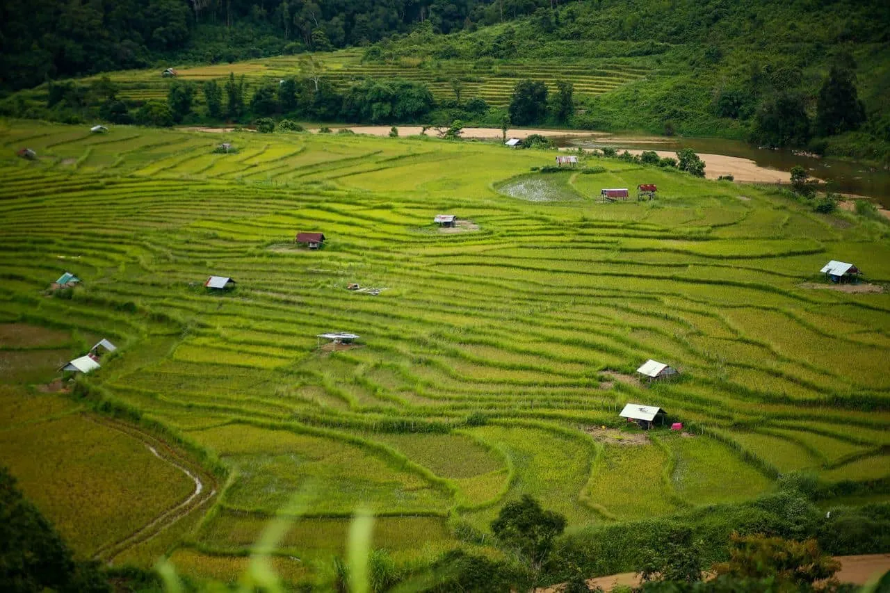 Ruộng bậc thang làng Kon Tu Rằng bình yên trên cao nguyên thơ mộng