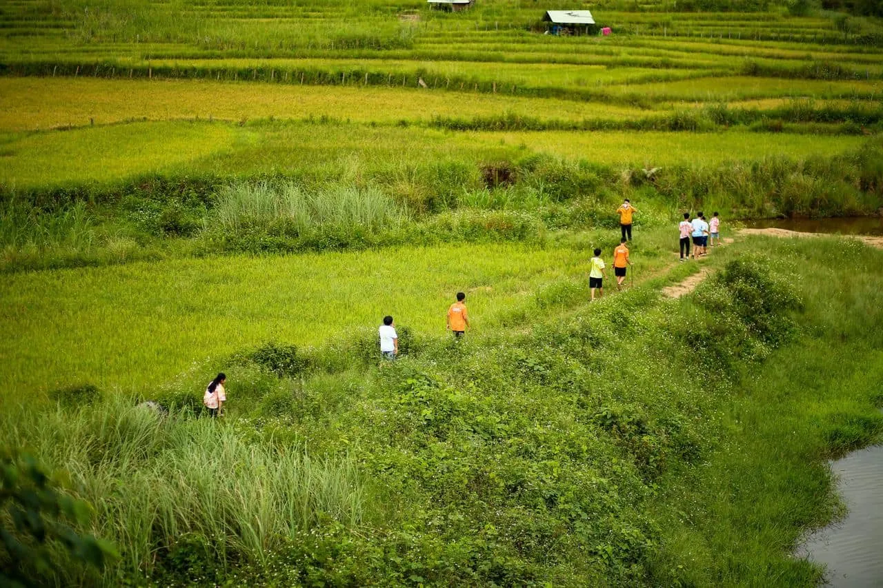 Ruộng bậc thang làng Kon Tu Rằng bình yên trên cao nguyên thơ mộng