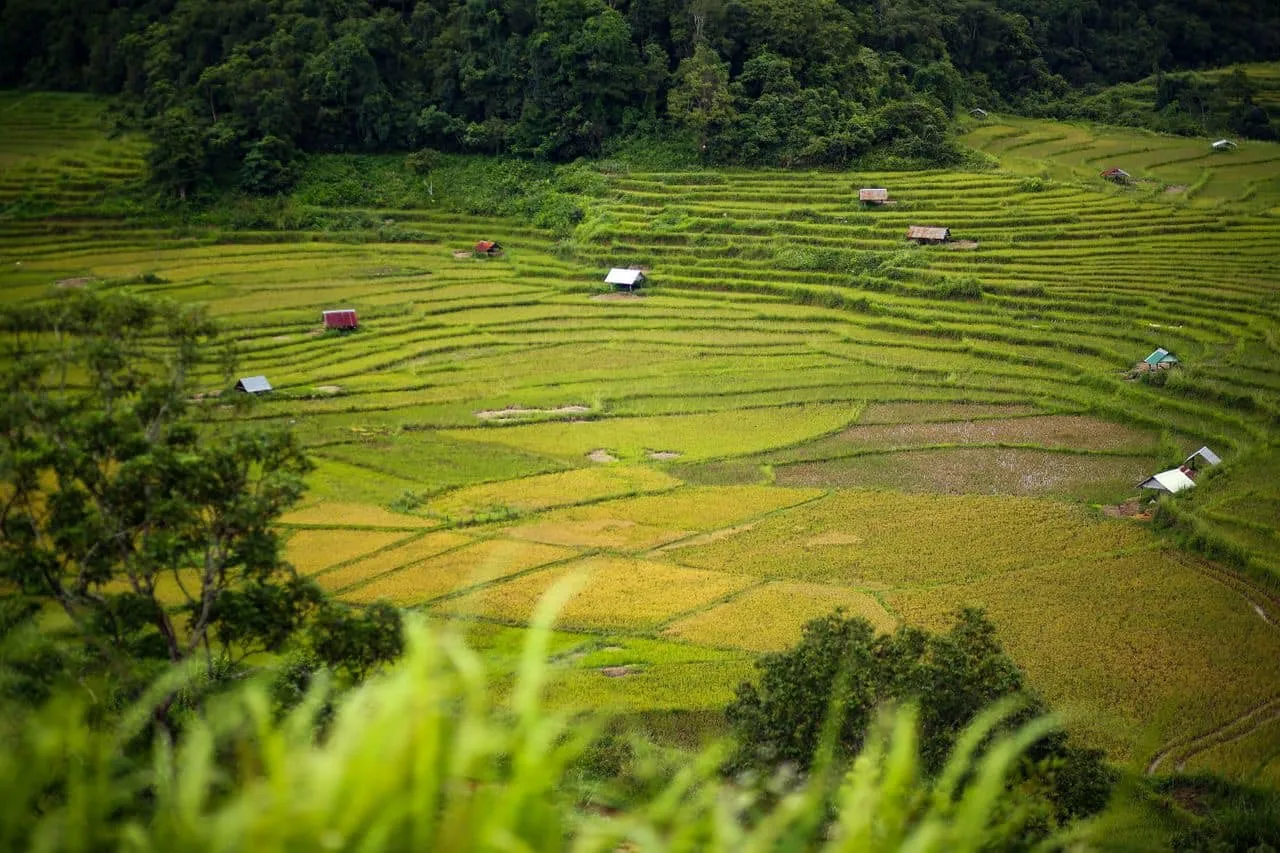 Ruộng bậc thang làng Kon Tu Rằng bình yên trên cao nguyên thơ mộng