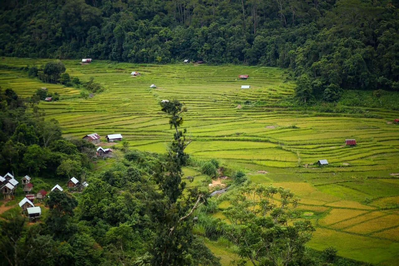 Ruộng bậc thang làng Kon Tu Rằng bình yên trên cao nguyên thơ mộng