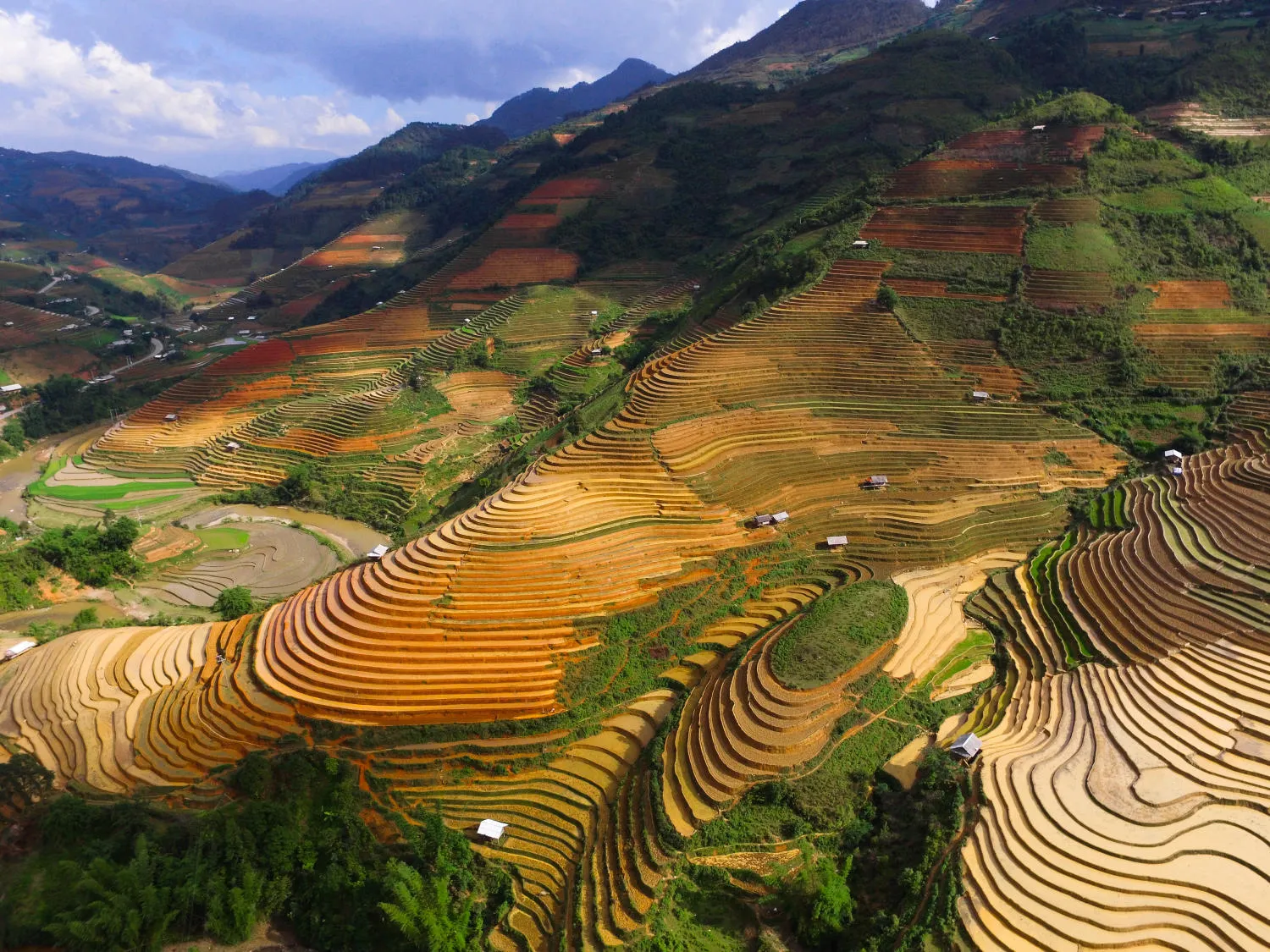 Ruộng bậc thang xã Chế Cu Nha đẹp tuyệt sắc mỗi khi mùa vàng gõ cửa