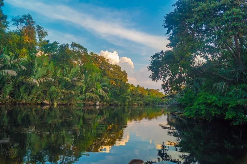 Sabah Malaysia vùng đất dưới gió với thiên nhiên hoang sơ ấn tượng