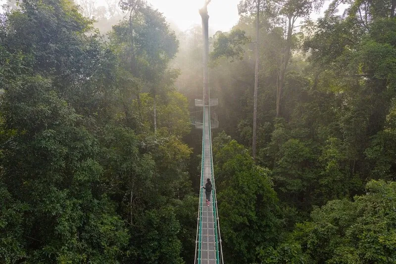 Sabah Malaysia vùng đất dưới gió với thiên nhiên hoang sơ ấn tượng