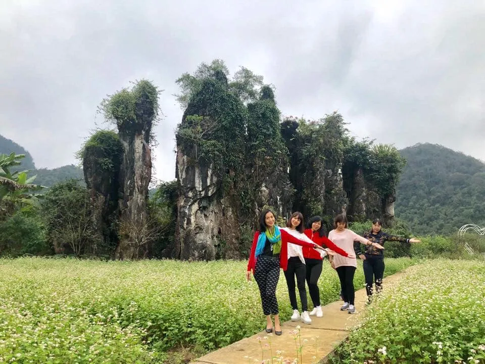 Săn mùa hoa tam giác mạc ở Thạch Sơn Thần Hà Giang kỳ bí