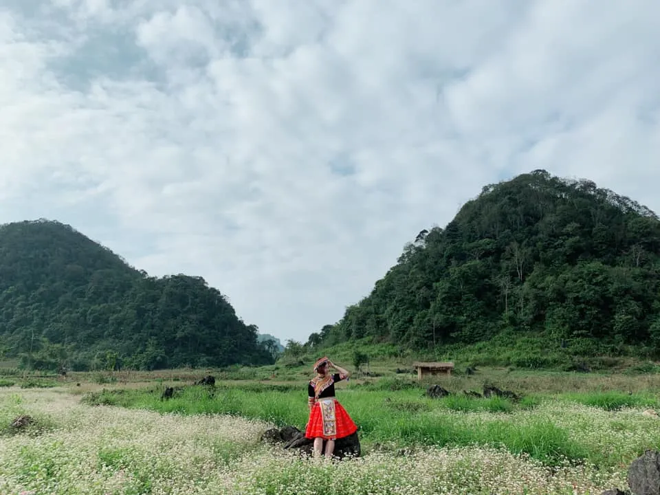 Săn mùa hoa tam giác mạc ở Thạch Sơn Thần Hà Giang kỳ bí