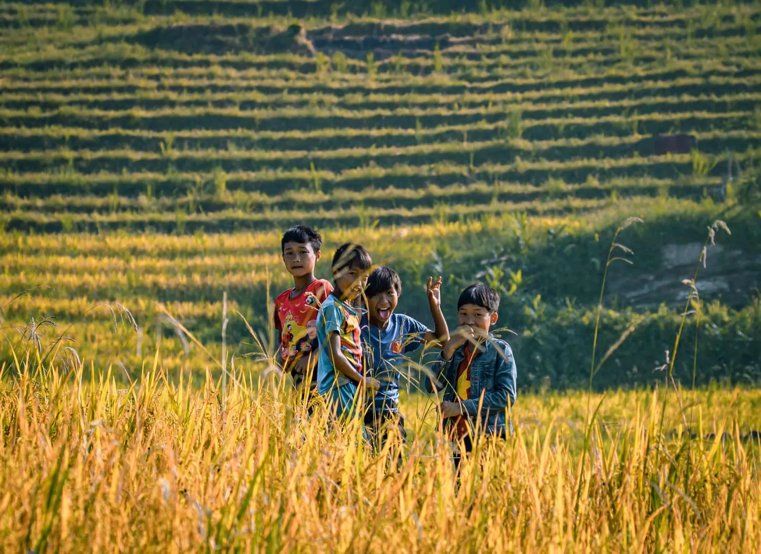 Săn Mùa vàng Y Tý cùng kẻ độc hành Bùi Ngọc Công