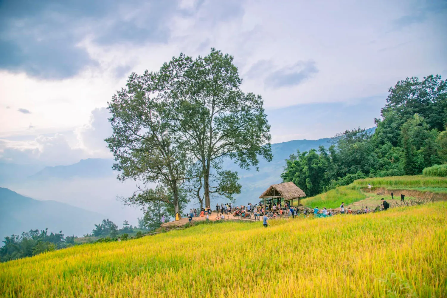 Săn Mùa vàng Y Tý cùng kẻ độc hành Bùi Ngọc Công