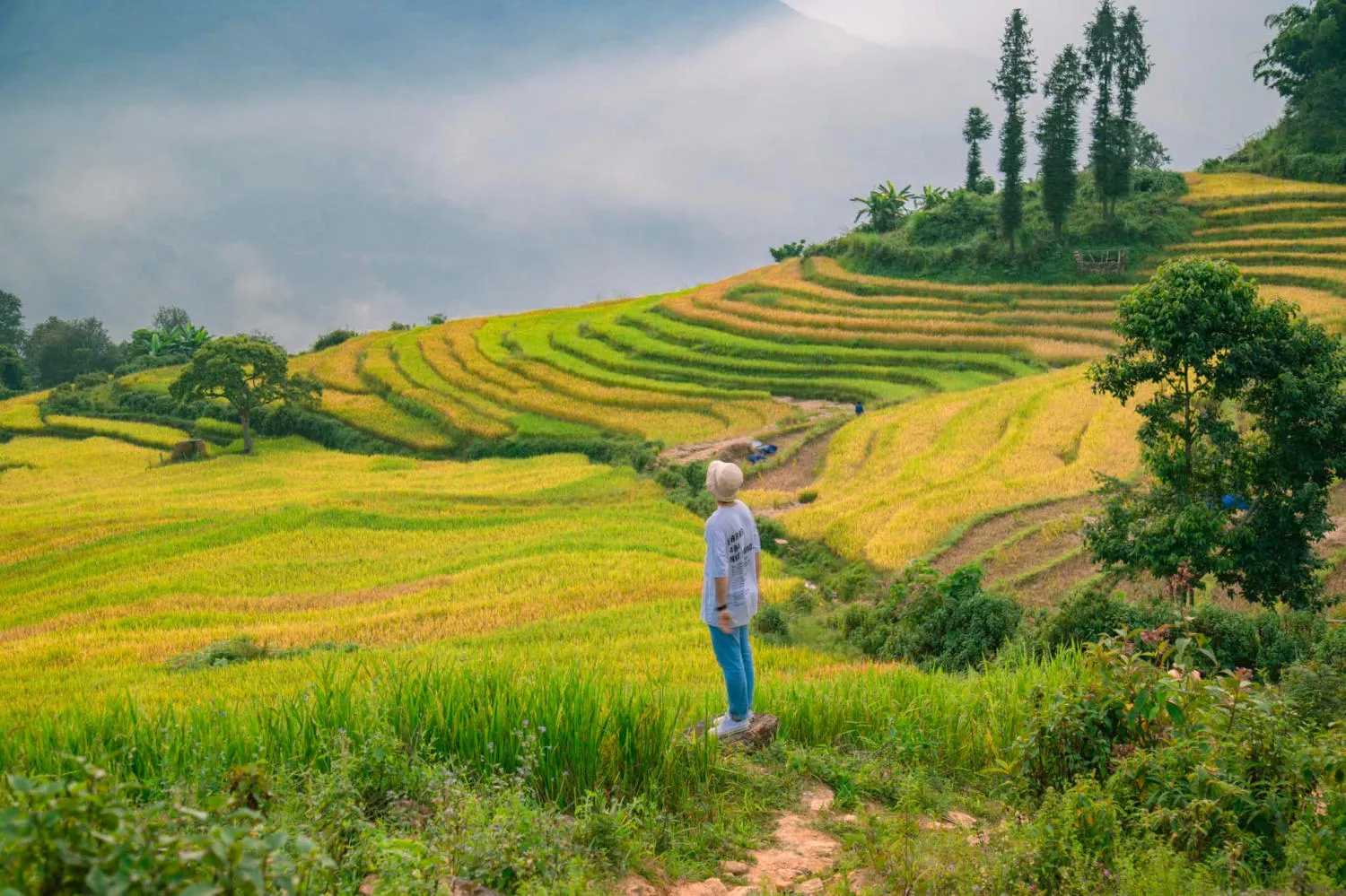 Săn Mùa vàng Y Tý cùng kẻ độc hành Bùi Ngọc Công