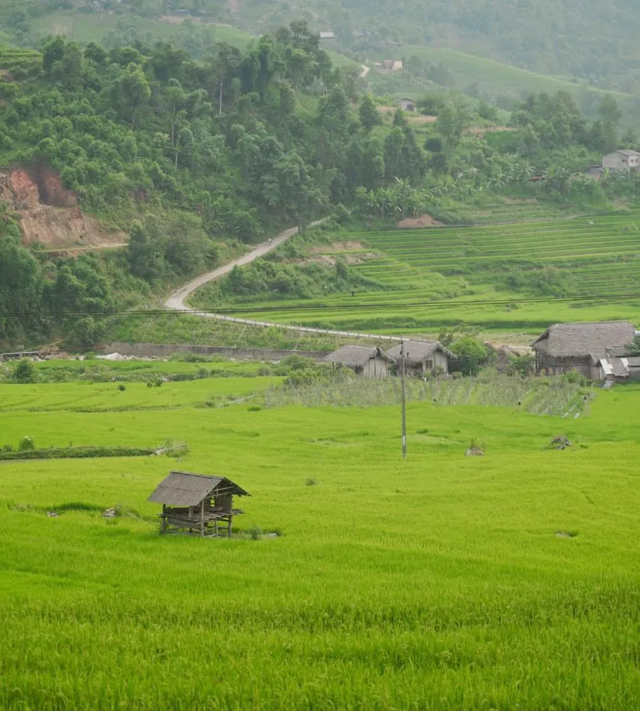 Sapa tháng 7 đẹp ngẩn ngơ cùng mùa lúa Nậm Cang bao quanh bản làng