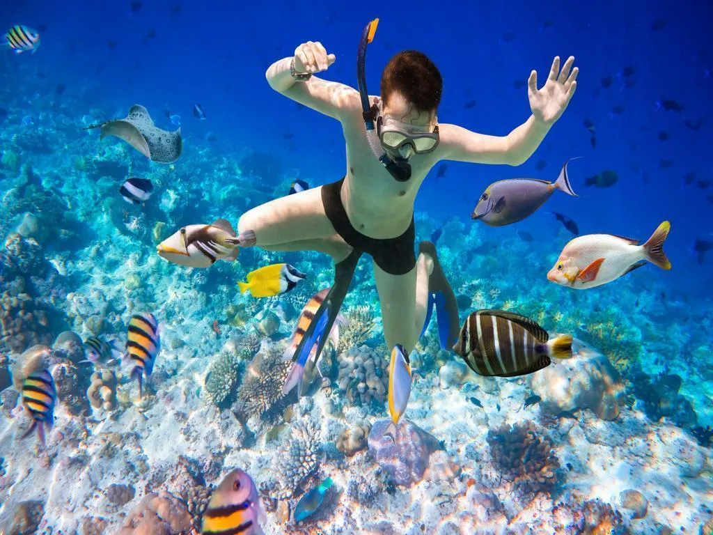 Sealife Nha Trang – Khám phá những hoạt động vui chơi trên biển cực hoành tráng tại Nha Trang