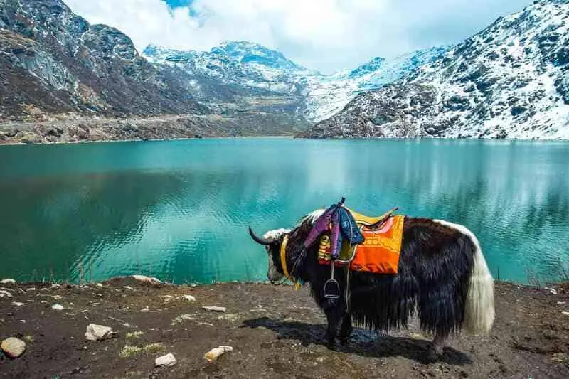 Sikkim viên ngọc ẩn bên những tu viện linh thiêng của Ấn Độ