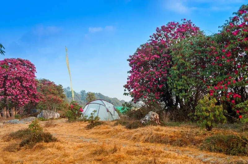 Sikkim viên ngọc ẩn bên những tu viện linh thiêng của Ấn Độ