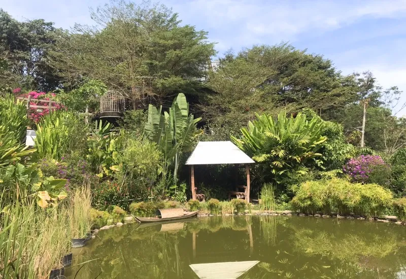 SOL Retreat Farm – địa điểm vui chơi hấp dẫn, sang chảnh