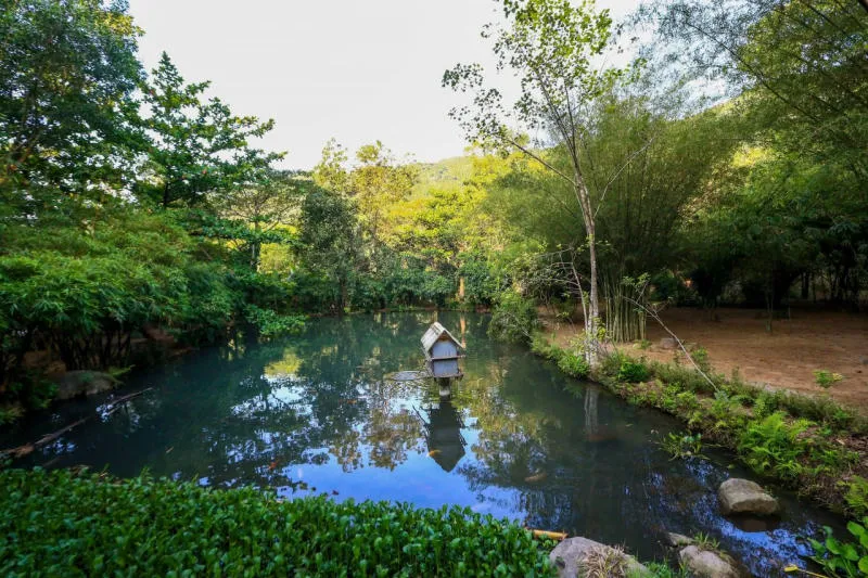 Sơn Trà Tịnh Viên yên bình và hành trình tìm về an nhiên