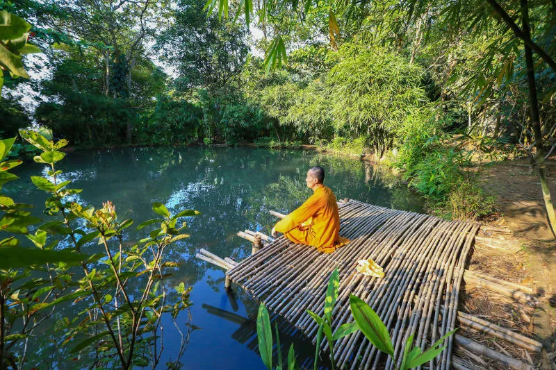 Sơn Trà Tịnh Viên yên bình và hành trình tìm về an nhiên