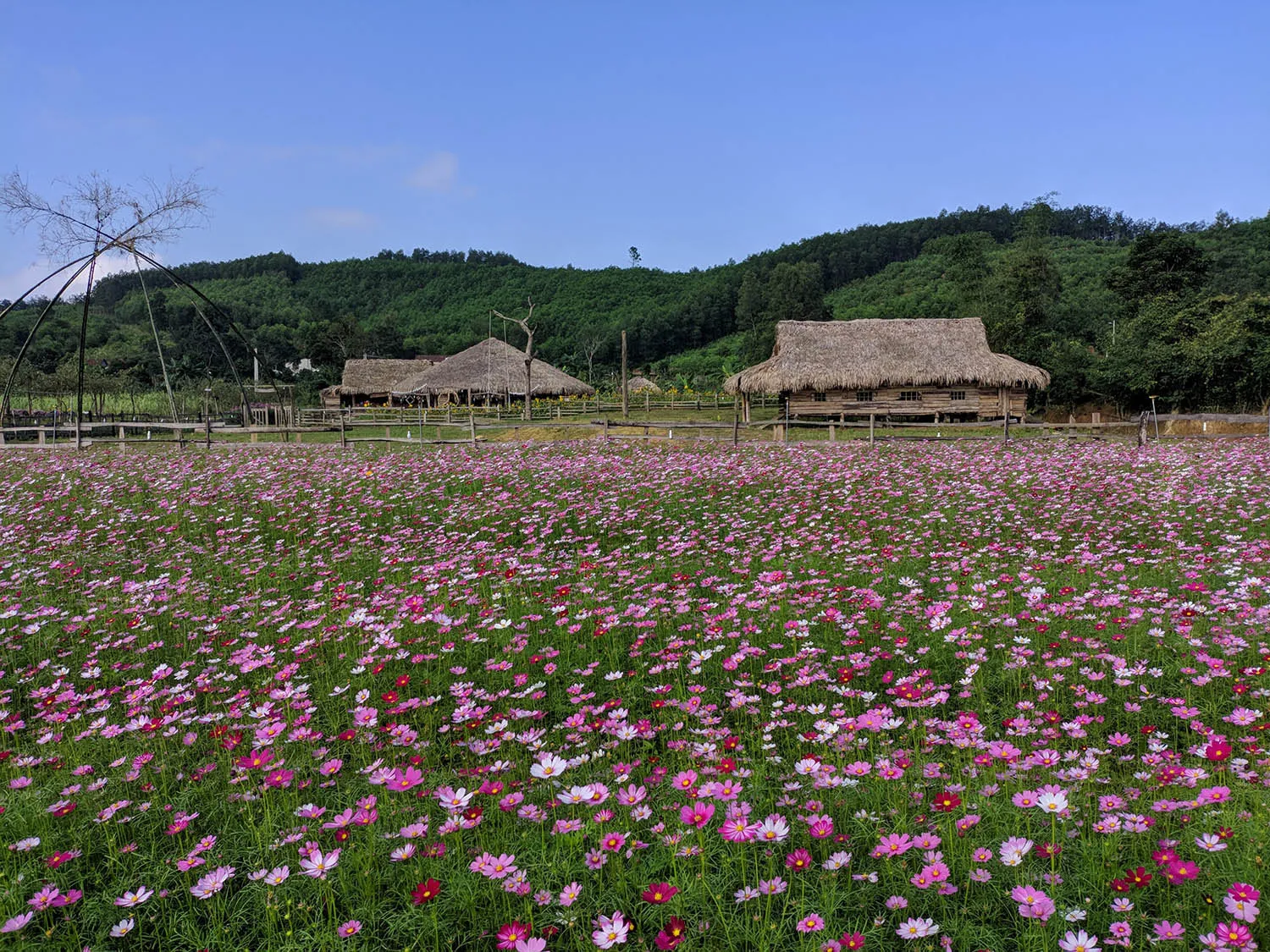 Sống ảo tung chảo tại Dong Soi Farm Quảng Bình